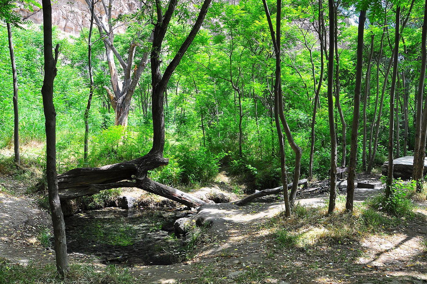 Caspian Sea, Coastal Deserts & Kopet Dagh Mountain Woodlands (PA33)